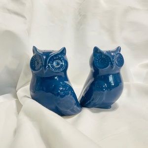Blue Owl Salt and Pepper Shakers